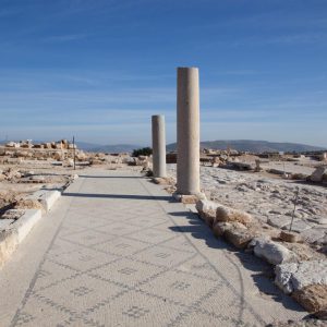 Israel, Sepphoris(Zippori) – Mosaics along the Cardo Maximus High-Quality Images & Videos The MCA Collection