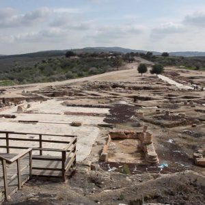 Israel, Sepphoris(Zippori) – Roman Forum High-Quality Images & Videos The MCA Collection