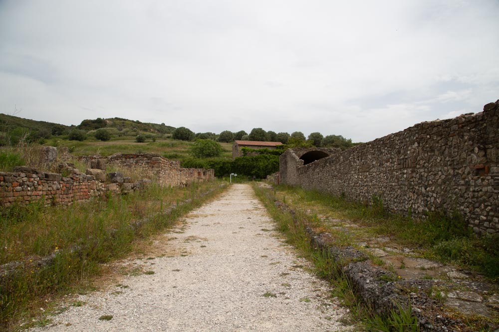 Italy, Velia – Main Road High-Quality Images & Videos The MCA Collection