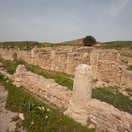 Tunisia, Bulla Regia -  House near the market