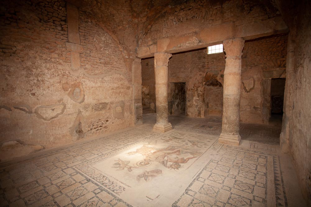 Tunisia, Bulla Regia –  House of Amphitrite High-Quality Images & Videos The MCA Collection