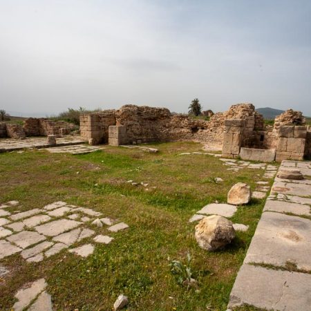 Tunisia, Bulla Regia -  Market