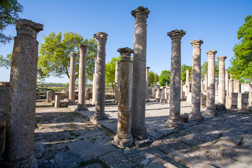 Tunisia, Makthar (Mactaris) – Schola of Juvenes High-Quality Images & Videos The MCA Collection