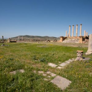 Tunisia, Thuburbo Majus –  Roman Forum High-Quality Images & Videos The MCA Collection