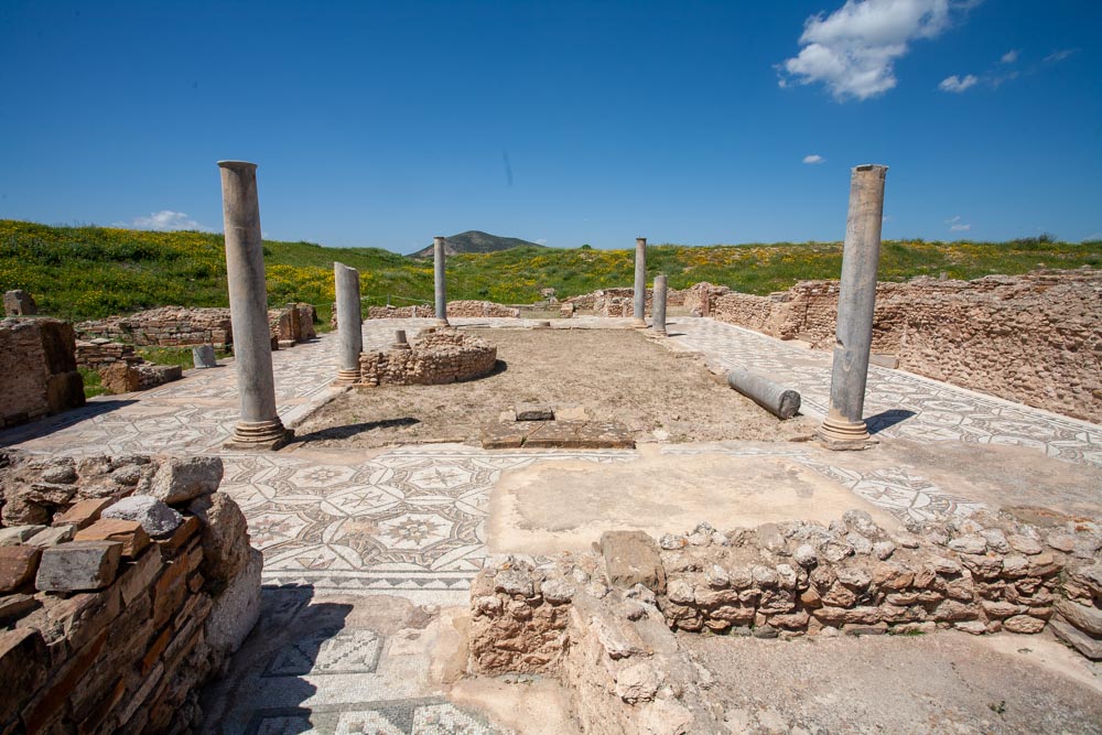 Tunisia, Thuburbo Majus –  House of Neptune High-Quality Images & Videos The MCA Collection