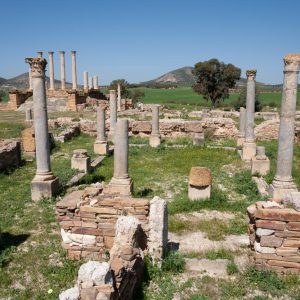 Tunisia, Thuburbo Majus – House of the Bacchus and Ariadne High-Quality Images & Videos The MCA Collection