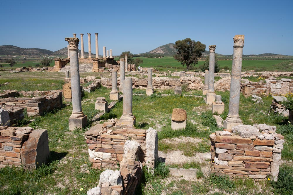 Tunisia, Thuburbo Majus – House of the Bacchus and Ariadne High-Quality Images & Videos The MCA Collection