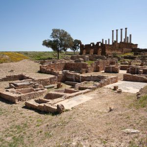 Tunisia, Thuburbo Majus – House of the Dressed Animals High-Quality Images & Videos The MCA Collection