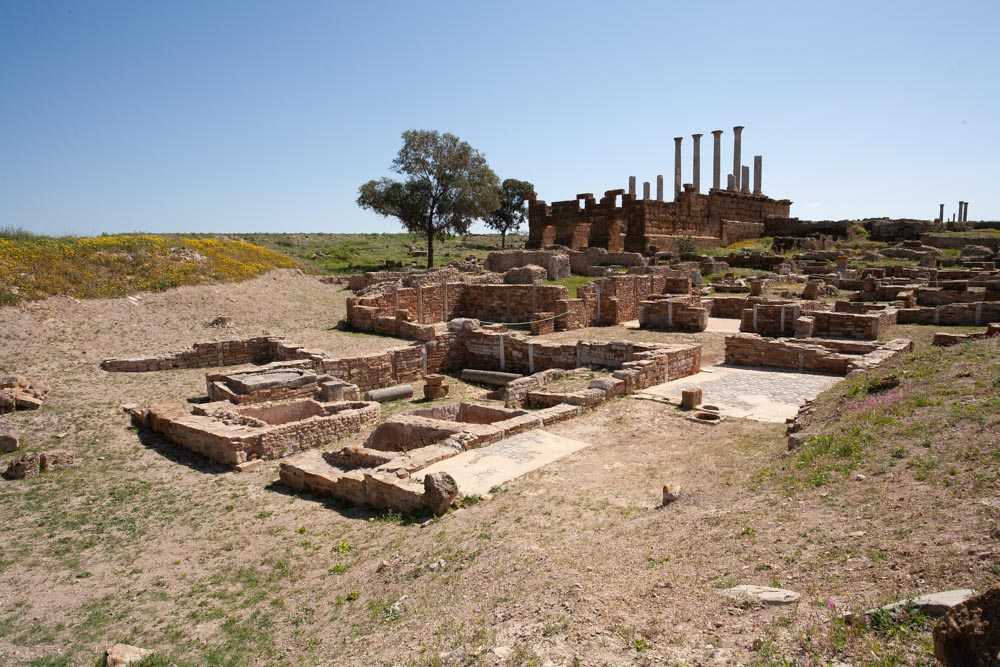 Tunisia, Thuburbo Majus – House of the Dressed Animals High-Quality Images & Videos The MCA Collection