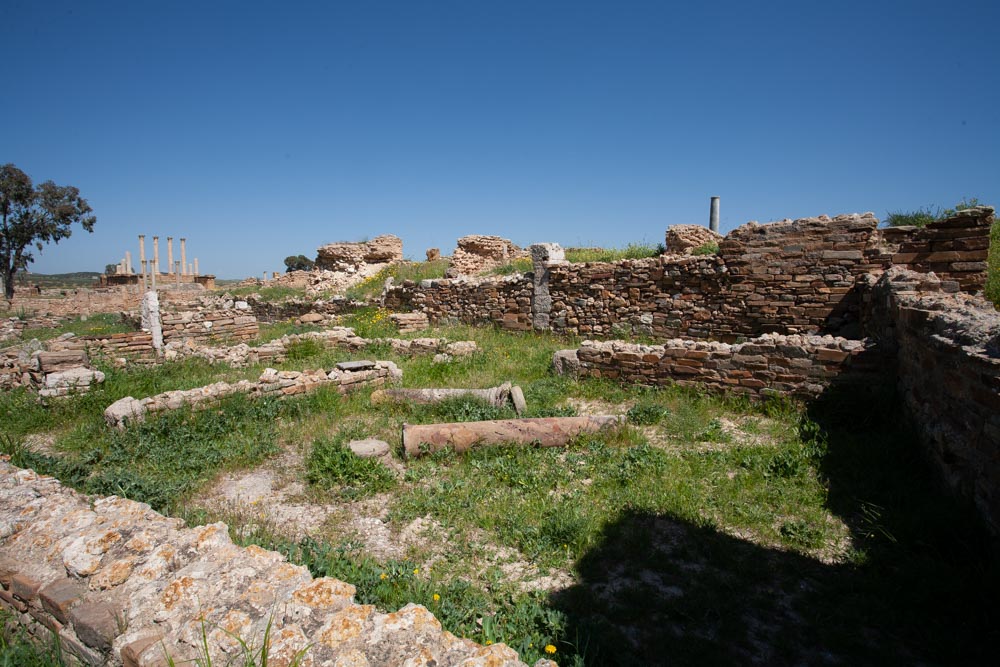 Tunisia, Thuburbo Majus –  Labyrinth Baths High-Quality Images & Videos The MCA Collection