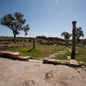 Tunisia, Thuburbo Majus – Market High-Quality Images & Videos The MCA Collection