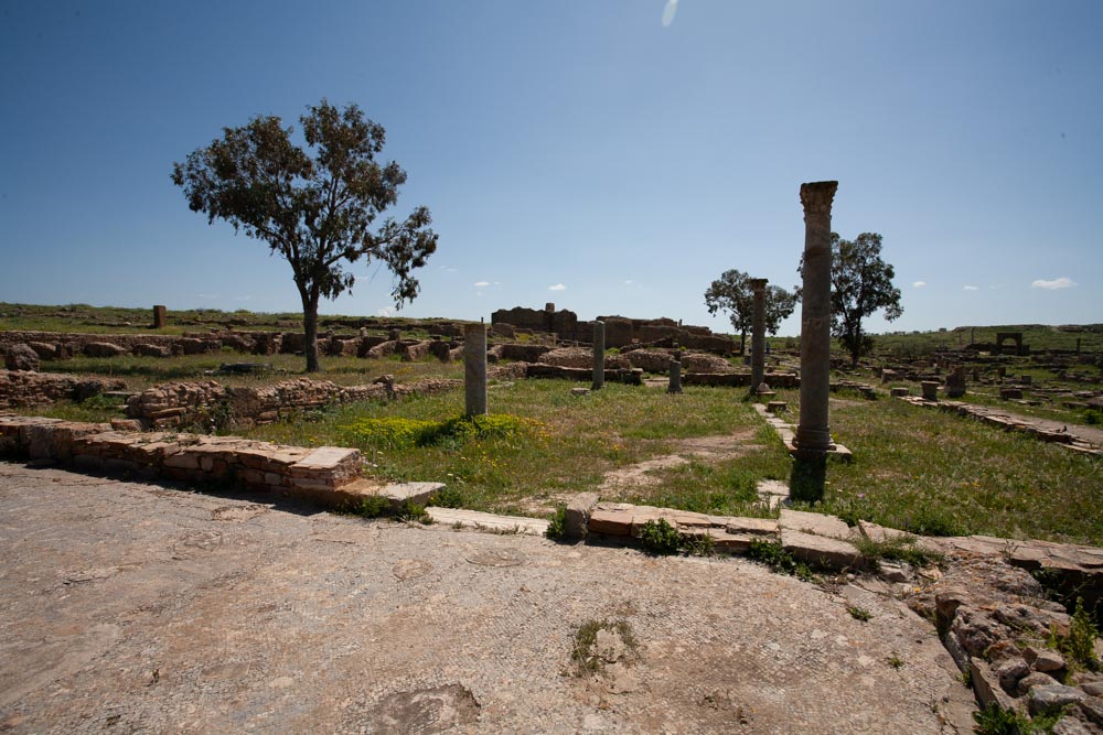 Tunisia, Thuburbo Majus – Market High-Quality Images & Videos The MCA Collection