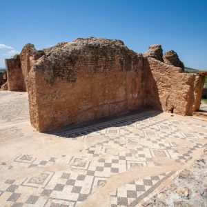Tunisia, Thuburbo Majus –  Summer Baths High-Quality Images & Videos The MCA Collection