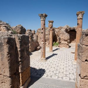Tunisia, Thuburbo Majus –  Winter Baths High-Quality Images & Videos The MCA Collection